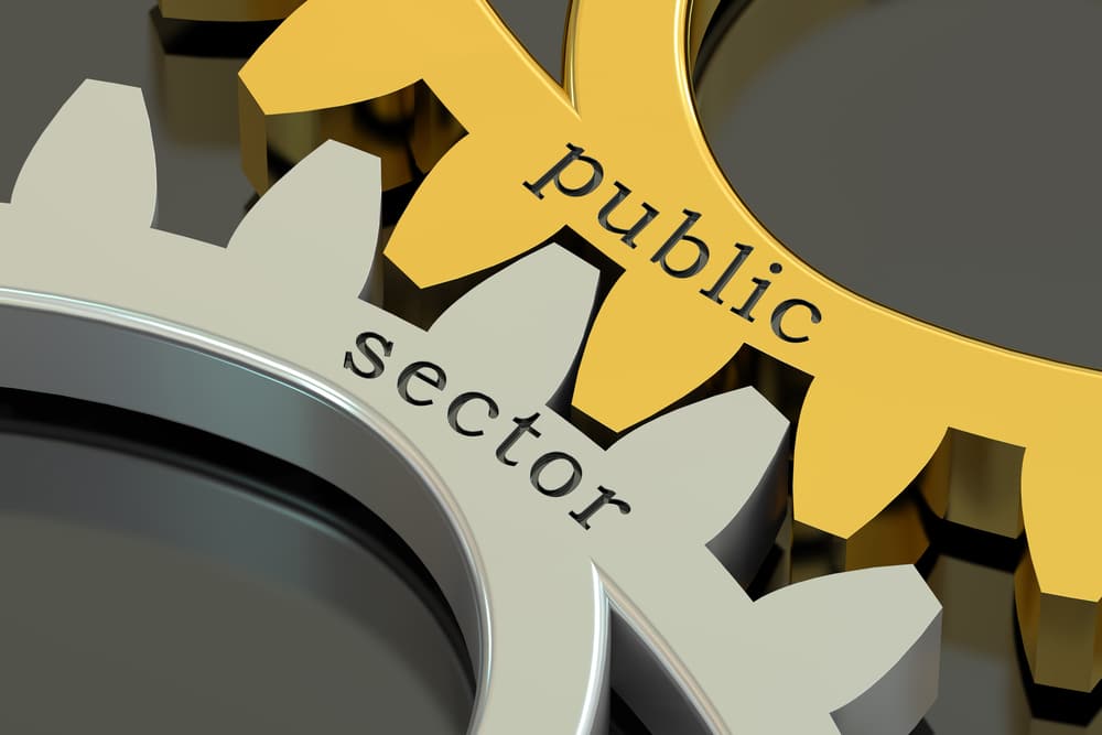 Public Sector Overview