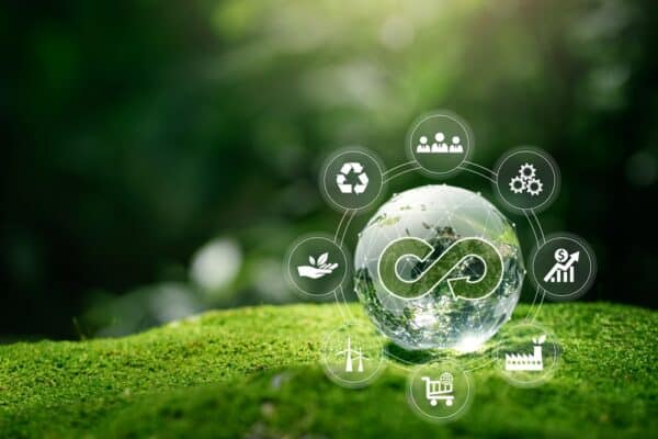 Building a Sustainable Future through Circular Economy and Recycling Innovations