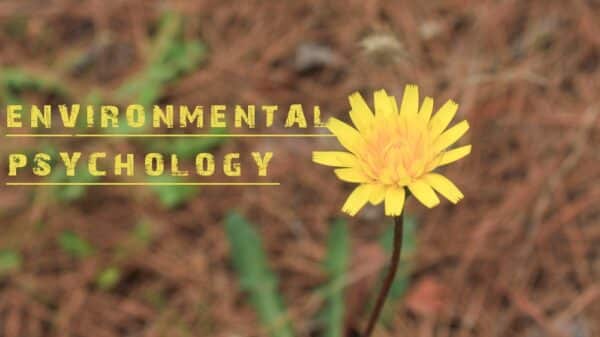 Maynooth University Webinar: Why Studying Environmental Psychology can Make a Difference
